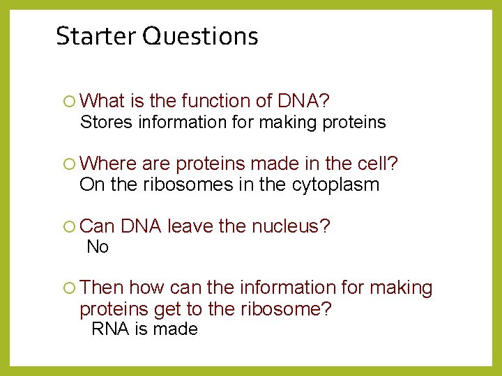 Starter Questions What is the function of DNA? Stores information for making proteins Where