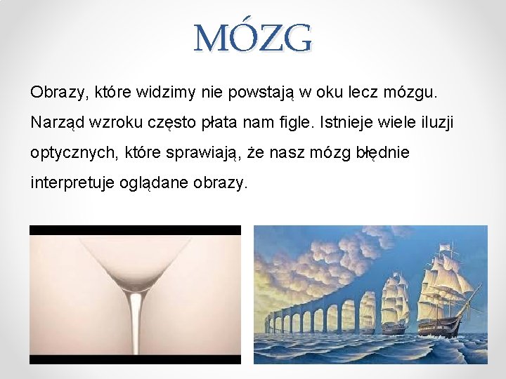 MÓZG Obrazy, które widzimy nie powstają w oku lecz mózgu. Narząd wzroku często płata