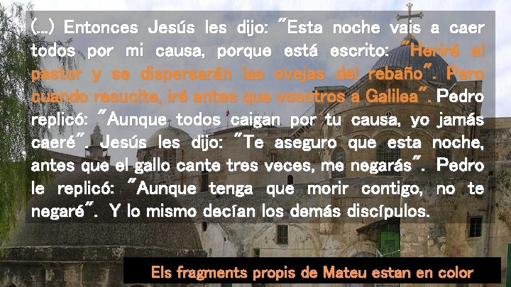 (. . . ) Entonces Jesús les dijo: "Esta noche vais a caer todos