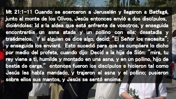 Mt 21: 1 -11 Cuando se acercaron a Jerusalén y llegaron a Betfagé, junto