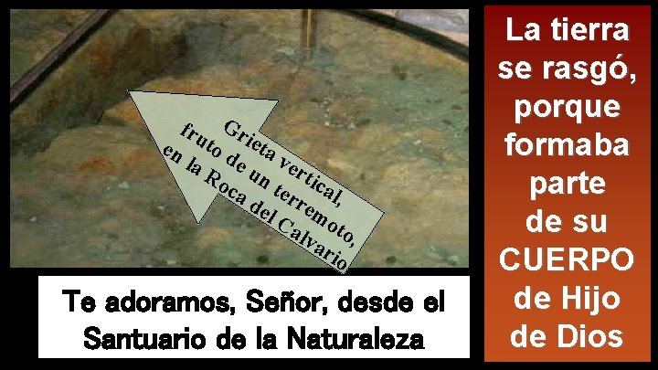 fru Gri en to d eta la e u ver Ro n tic t