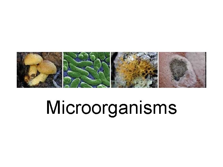 Microorganisms 