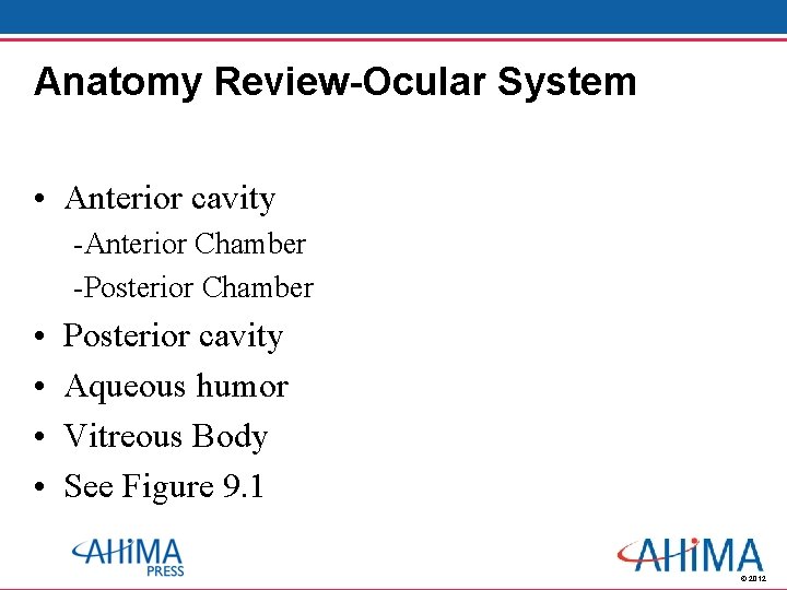 Anatomy Review-Ocular System • Anterior cavity -Anterior Chamber -Posterior Chamber • • Posterior cavity