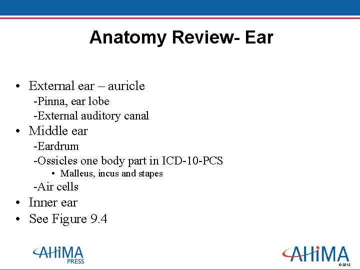 Anatomy Review- Ear • External ear – auricle -Pinna, ear lobe -External auditory canal