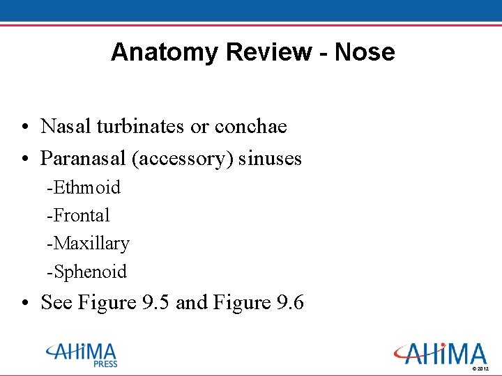 Anatomy Review - Nose • Nasal turbinates or conchae • Paranasal (accessory) sinuses -Ethmoid