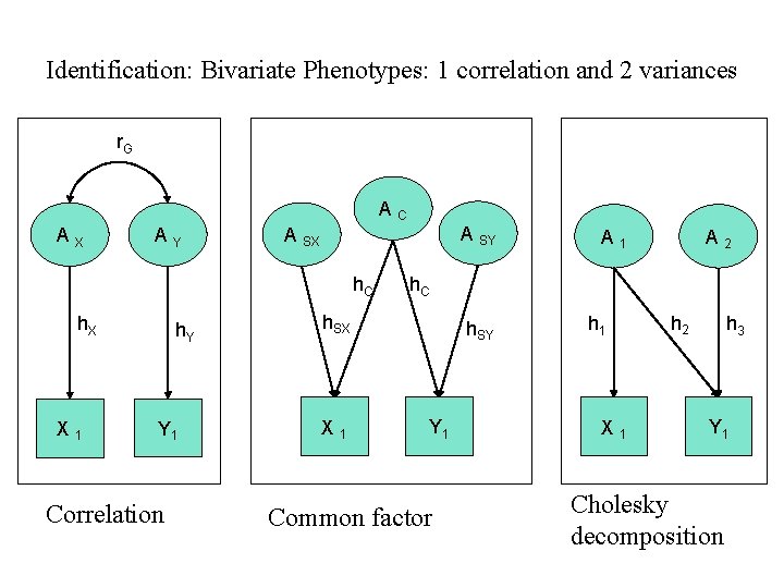 Identification: Bivariate Phenotypes: 1 correlation and 2 variances r. G AC AX AY h.