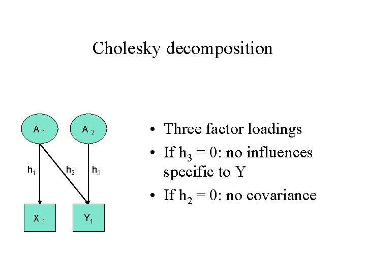 Cholesky decomposition A 1 h 1 X 1 A 2 h 3 Y 1