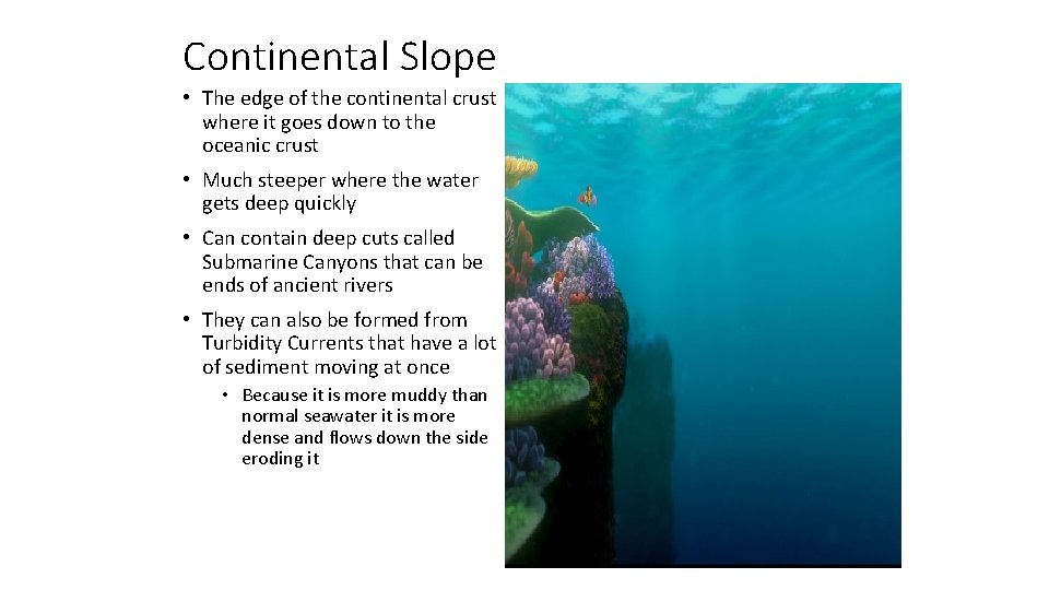 Continental Slope • The edge of the continental crust where it goes down to