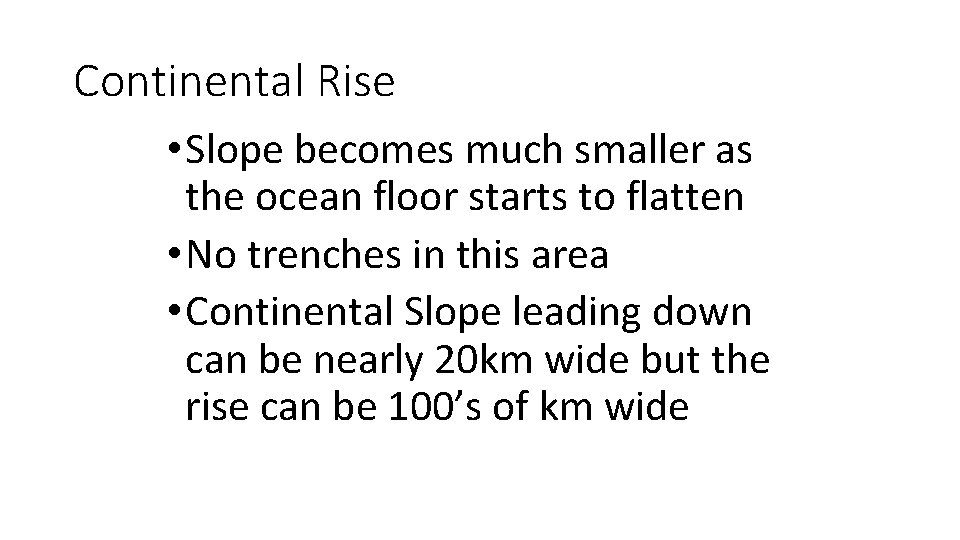 Continental Rise • Slope becomes much smaller as the ocean floor starts to flatten