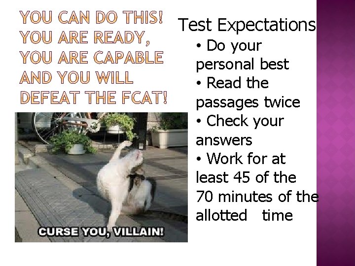 Test Expectations • Do your personal best • Read the passages twice • Check