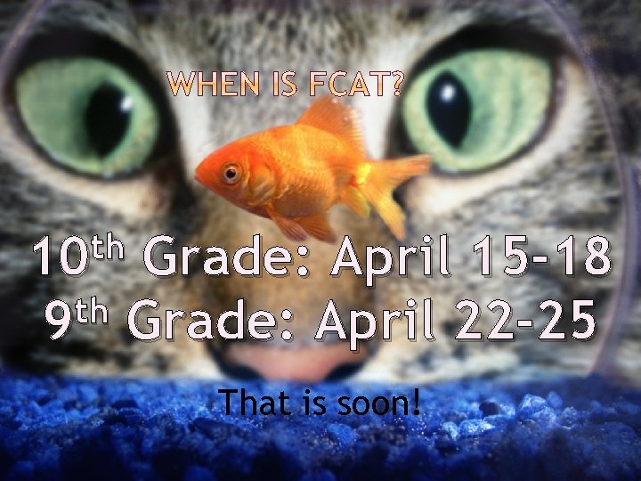 th 10 Grade: April 15 -18 th 9 Grade: April 22 -25 That is
