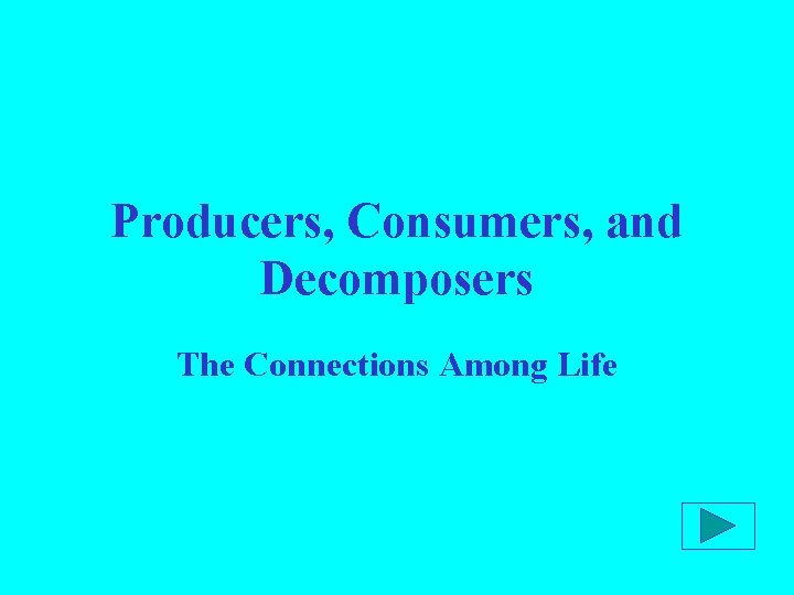 Producers, Consumers, and Decomposers The Connections Among Life 