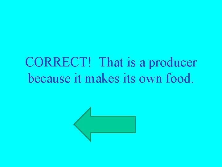 CORRECT! That is a producer because it makes its own food. 