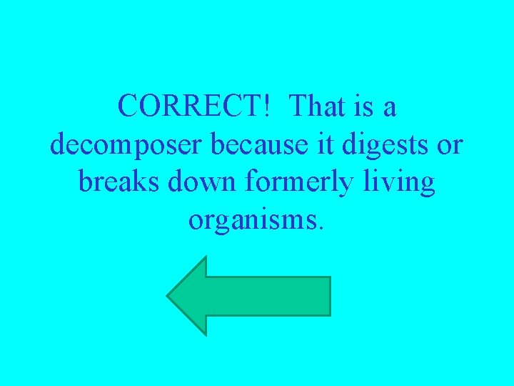 CORRECT! That is a decomposer because it digests or breaks down formerly living organisms.