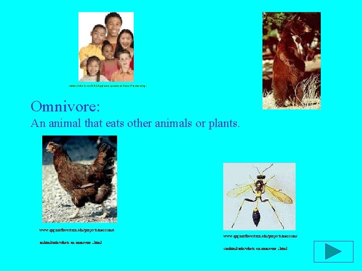 www. state. tx. us/NASApp/amerpromise/ Amer. Promise. Mgr Omnivore: An animal that eats other animals