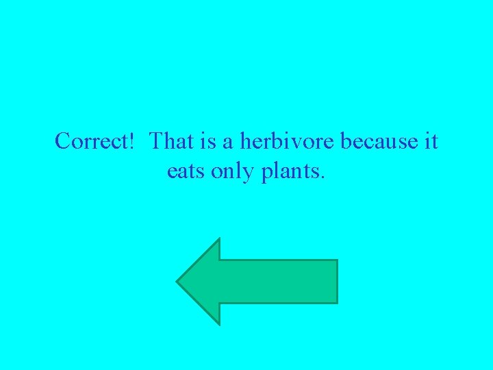 Correct! That is a herbivore because it eats only plants. 