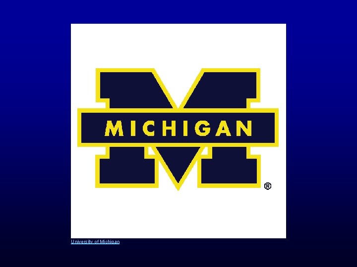 University of Michigan 