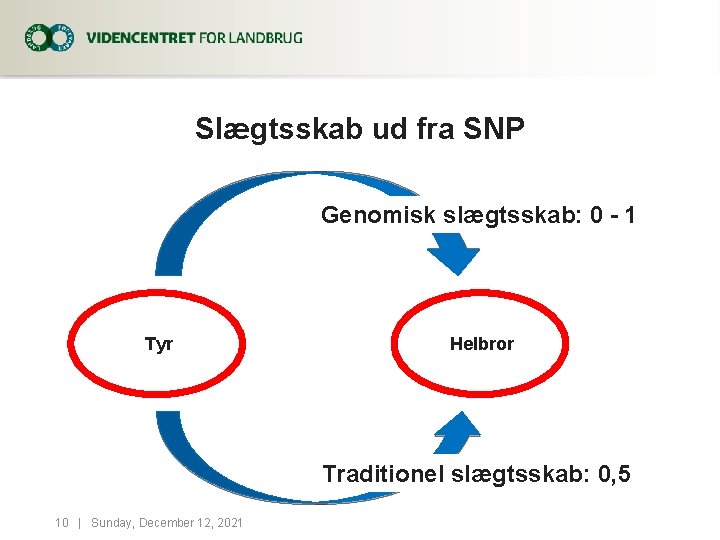 Slægtsskab ud fra SNP Genomisk slægtsskab: 0 - 1 !Tyr !Helbror Traditionel slægtsskab: 0,