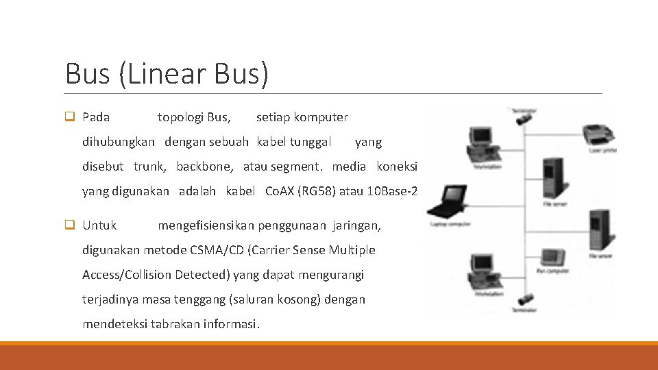 Bus (Linear Bus) q Pada topologi Bus, setiap komputer dihubungkan dengan sebuah kabel tunggal