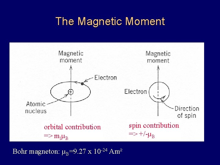 The Magnetic Moment orbital contribution => mlµB Bohr magneton: µB=9. 27 x 10 -24
