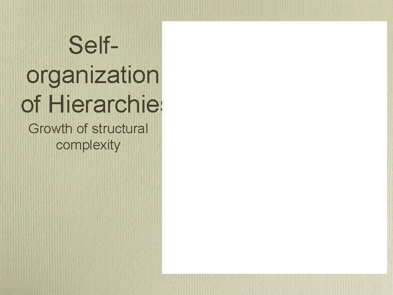 Selforganization of Hierarchies Growth of structural complexity 