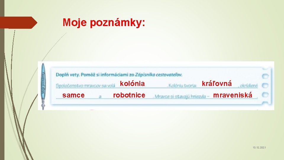 Moje poznámky: kolónia samce robotnice kráľovná mraveniská 13. 12. 2021 