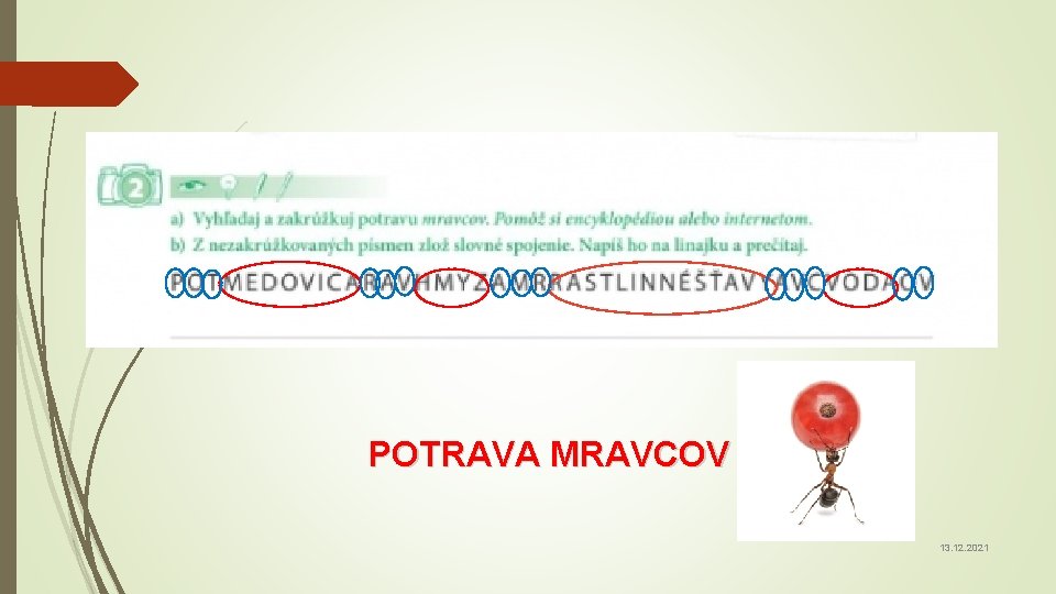 POTRAVA MRAVCOV 13. 12. 2021 