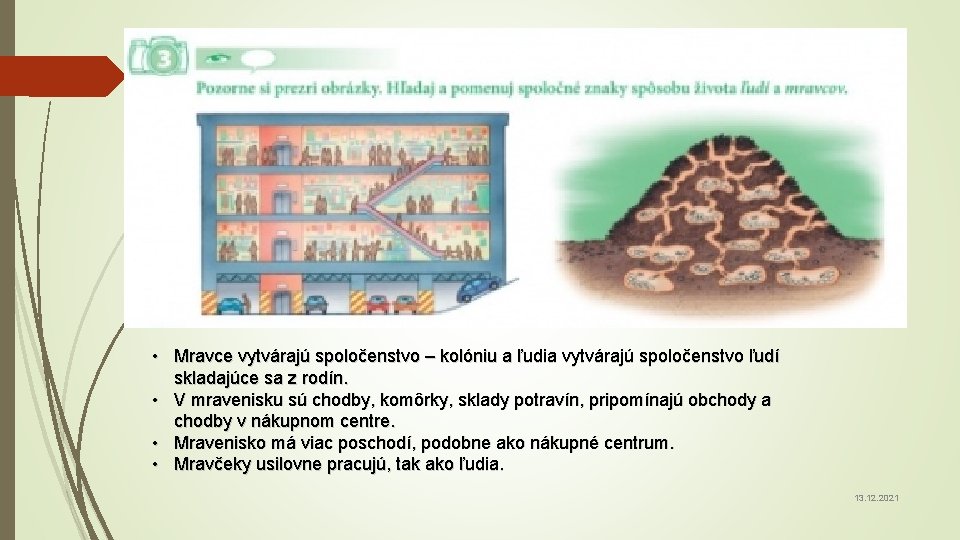  • Mravce vytvárajú spoločenstvo – kolóniu a ľudia vytvárajú spoločenstvo ľudí skladajúce sa