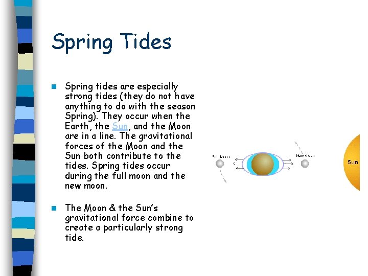 Spring Tides n Spring tides are especially strong tides (they do not have anything