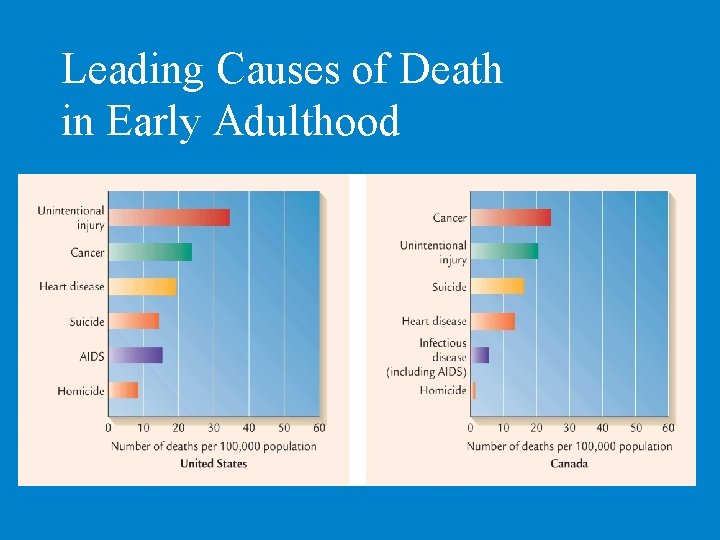 Leading Causes of Death in Early Adulthood 