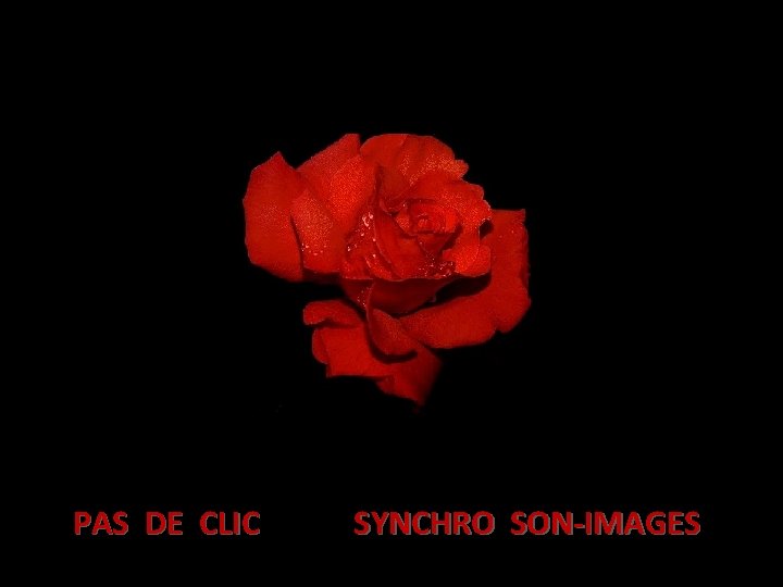 PAS DE CLIC SYNCHRO SON-IMAGES 