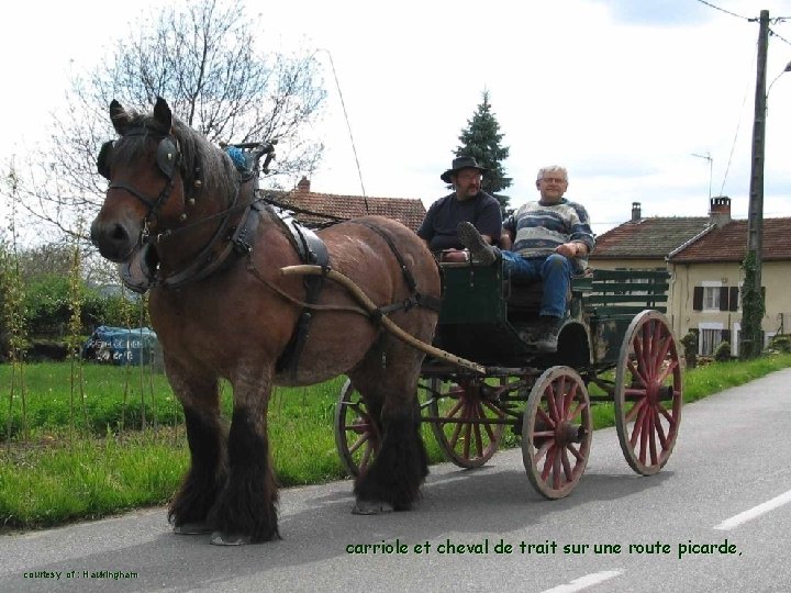 carriole et cheval de trait sur une route picarde, courtesy of : Haukingham 