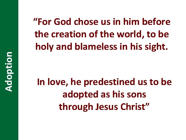 Adoption “For God chose us in him before the creation of the world, to