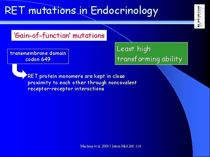 RET mutations in Endocrinology ‘Gain-of-function’ mutations transmembrane domain codon 649 Least high transforming ability