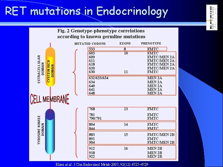 RET mutations in Endocrinology Elisei et al. J Clin Endocrinol Metab 2007, 92(12): 4725–