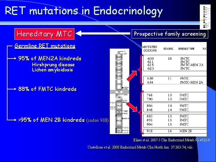 RET mutations in Endocrinology Hereditary MTC Prospective family screening Germline RET mutations 95% of