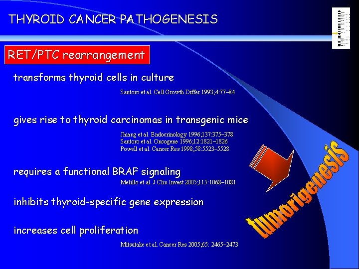 THYROID CANCER PATHOGENESIS RET/PTC rearrangement transforms thyroid cells in culture Santoro et al. Cell