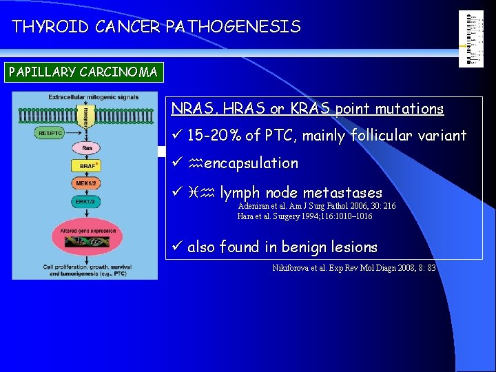 THYROID CANCER PATHOGENESIS PAPILLARY CARCINOMA NRAS, HRAS or KRAS point mutations ü 15 -20%