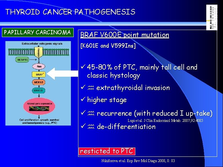 THYROID CANCER PATHOGENESIS PAPILLARY CARCINOMA BRAF V 600 E point mutation [K 601 E