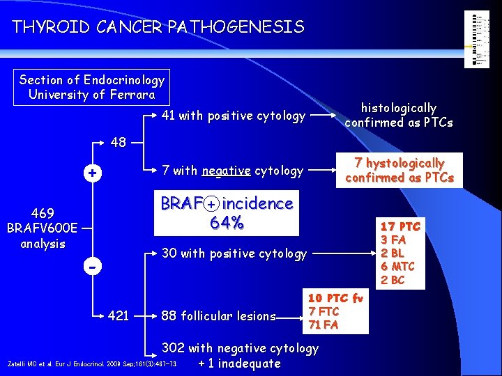THYROID CANCER PATHOGENESIS Section of Endocrinology University of Ferrara 41 with positive cytology histologically