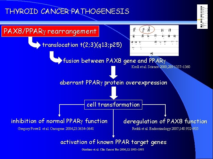 THYROID CANCER PATHOGENESIS PAX 8/PPARg rearrangement translocation t(2; 3)(q 13; p 25) fusion between