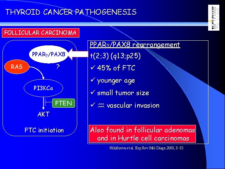 THYROID CANCER PATHOGENESIS FOLLICULAR CARCINOMA PPARg/PAX 8 rearrangement PPARg/PAX 8 ? RAS t(2; 3)