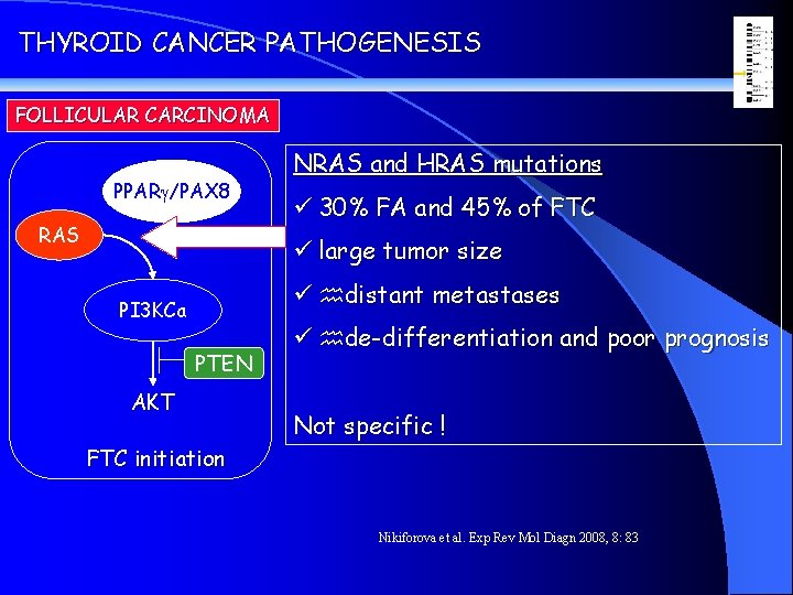 THYROID CANCER PATHOGENESIS FOLLICULAR CARCINOMA PPARg/PAX 8 ? RAS NRAS and HRAS mutations ü