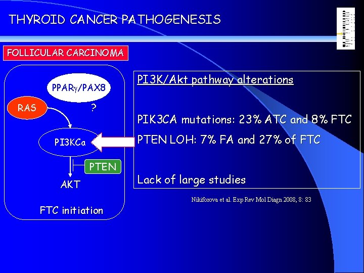 THYROID CANCER PATHOGENESIS FOLLICULAR CARCINOMA PPARg/PAX 8 ? RAS PI 3 K/Akt pathway alterations