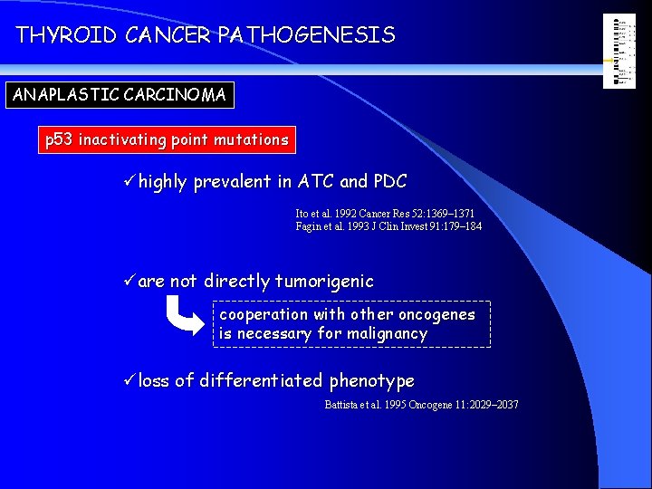 THYROID CANCER PATHOGENESIS ANAPLASTIC CARCINOMA p 53 inactivating point mutations ühighly prevalent in ATC