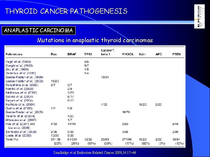 THYROID CANCER PATHOGENESIS ANAPLASTIC CARCINOMA Mutations in anaplastic thyroid carcinomas Smallridge et al Endocrine-Related