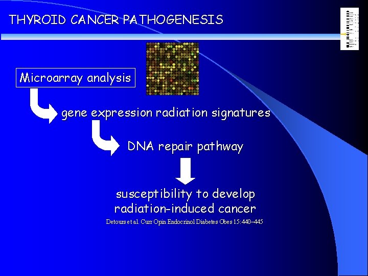 THYROID CANCER PATHOGENESIS Microarray analysis gene expression radiation signatures DNA repair pathway susceptibility to