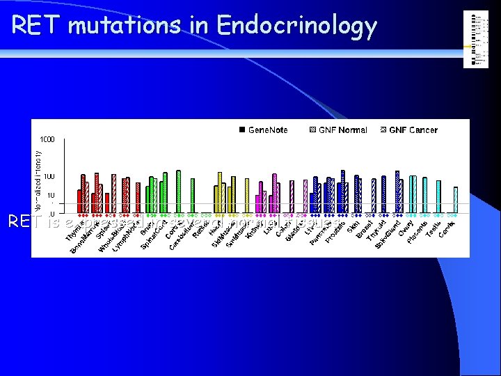 RET mutations in Endocrinology RET is expressed in several normal tissues 