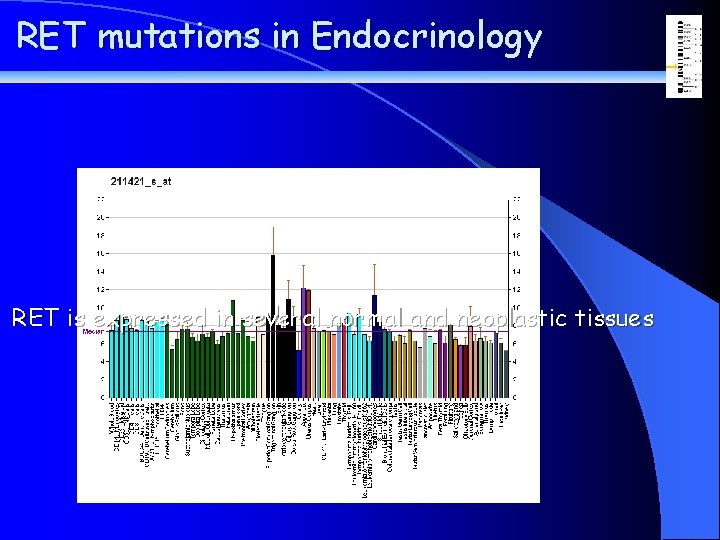 RET mutations in Endocrinology RET is expressed in several normal and neoplastic tissues 