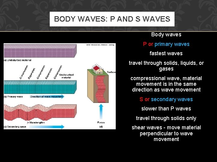 BODY WAVES: P AND S WAVES Body waves P or primary waves fastest waves